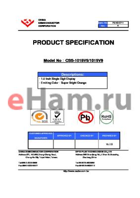 CSS-1019V9 datasheet - 1.0 Inch Single Digit Display