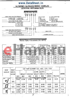 CST-833R datasheet - NUMERIC/ALPHANUMBERIC DISPLAY GENERAL INFORMATION