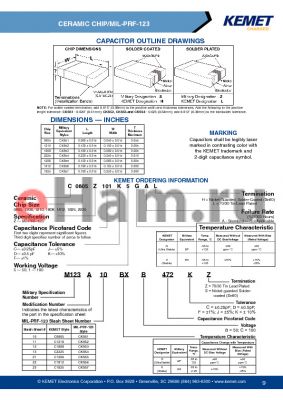 M12313BXC472JS datasheet - CAPACITOR OUTLINE DRAWINGS